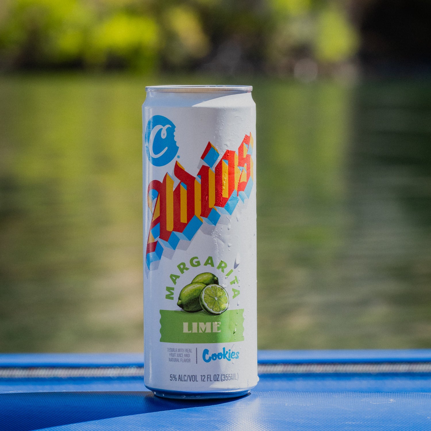Lime Margarita Canned Cocktail